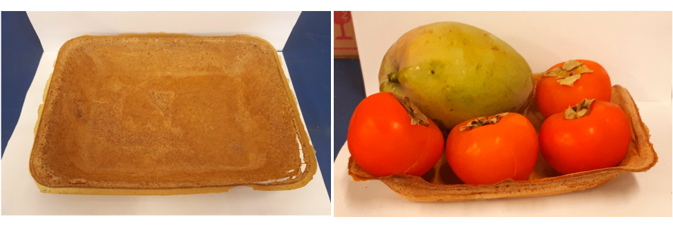 Bandeja de cúrcuma estudoUSP ftGuilhermeJoséAguilar