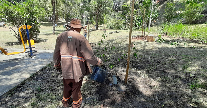 Ação de arborização PraçaConchitadeMoras vila Guilherme PSMP 700