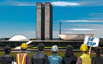 593Opiniao