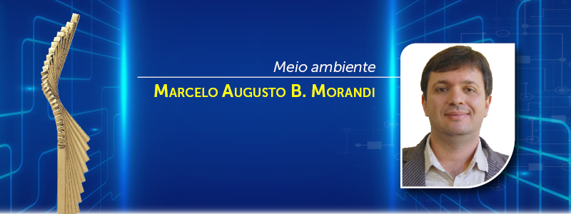 Premiados trofeu 2025 800x300 Marcelo