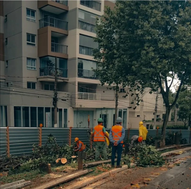 corte de arvores tunel senna madureira foto salvemasenamadureira800