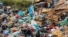 Produção sustentável de bioplástico exige gestão cuidadosa de resíduos