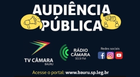 SEESP participa de audiência pública sobre o sistema de energia elétrica de Bauru