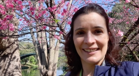 Engenharia florestal para melhorar a vida nas cidades