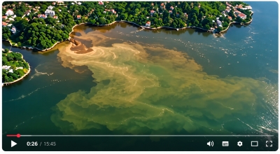 Vídeo alerta para urgência de salvar a Represa do Guarapiranga