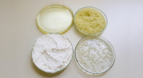 Tecnologia à base de óleo de tomilho elimina larvas do mosquito da dengue