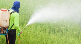 "PL do veneno" facilita despejo de agrotóxicos no Brasil. Pressão agora é para barrá-lo no Senado