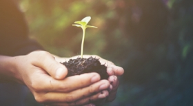 Vaga para engenheiro agrônomo ou ambientalista