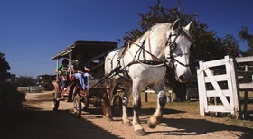 Hotel fazenda oferece até 15% de desconto aos sócios SEESP