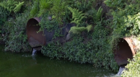 Lançamento de esgoto nos rios ainda é problema grave em São Paulo