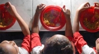 Artigo - A fome avança aniquilando a vida de crianças no Brasil