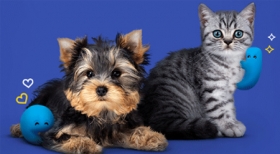 Associado SEESP tem 7% off na loja Petz