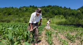 Agricultura deve dar prioridade a sustentabilidade e segurança alimentar